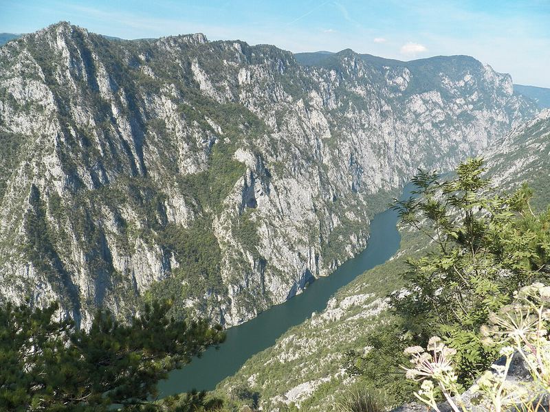 Drina river canyon