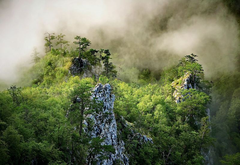 Vidikovac Sokolarica — Falcon's ledge above the Rača canyon